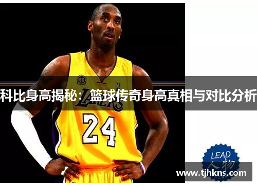 科比身高揭秘：篮球传奇身高真相与对比分析