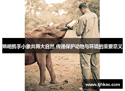 姚明携手小象共舞大自然 传递保护动物与环境的重要意义