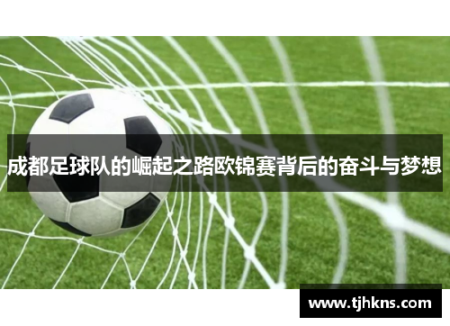 成都足球队的崛起之路欧锦赛背后的奋斗与梦想