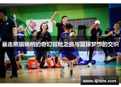 暴走熊猫姚明的奇幻冒险之旅与篮球梦想的交织
